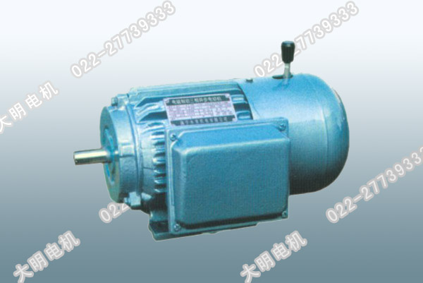 YEJ系列(IP44)電磁制動(dòng)三相異步電動(dòng)機(jī)